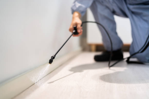 Rodent Entry Point Assessment in Lynwood