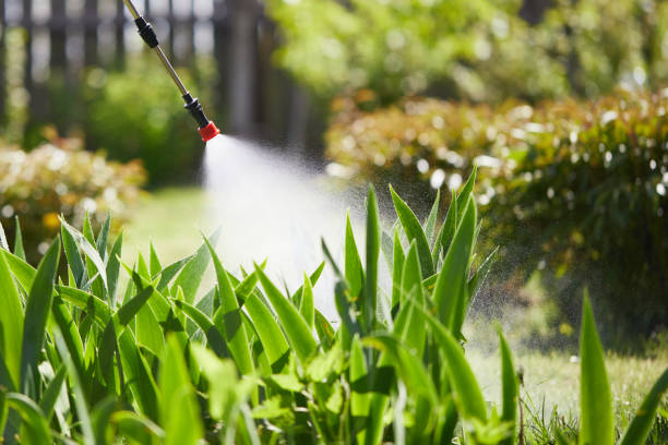 Tamper-Resistant Bait Stations for Rodents in Lynwood