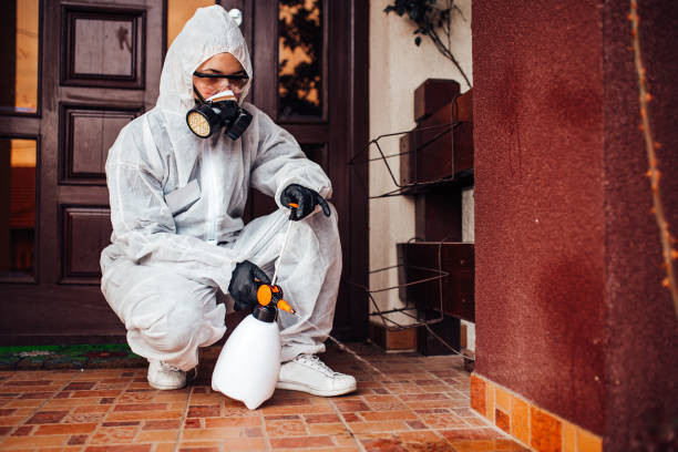 Attic and Crawl Space Rodent Treatment in Lynwood